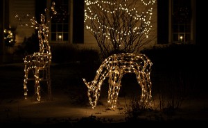 Illuminazioni-artistiche-per-Natale-1