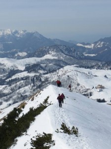 17264859_1748883708775348_4354088479957709144_n