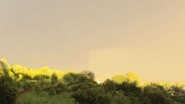 Mirabilis Villa Guardia