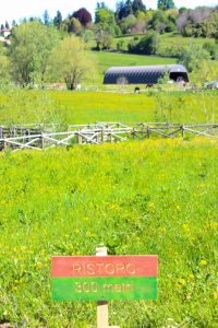 MANGIA BEVI CORRI CAMMINA